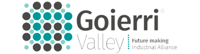 Logo goierri valley
